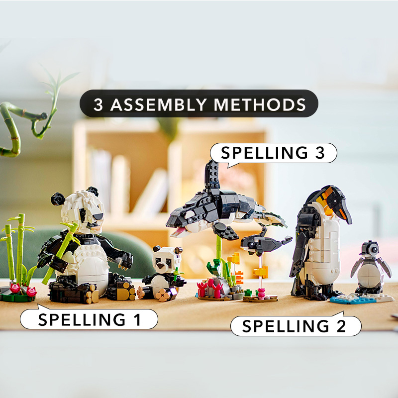 view